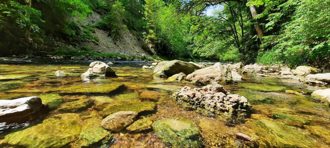 Ferienwohnung Seelust Schluchsee Exteriér fotografie