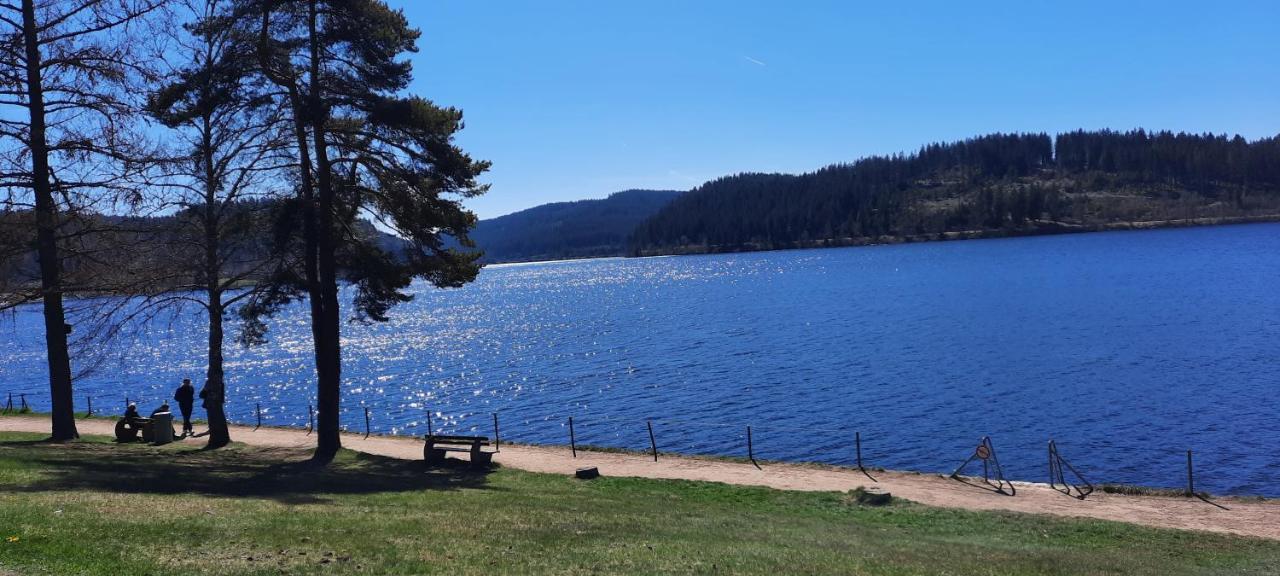 Ferienwohnung Seelust Schluchsee Exteriér fotografie